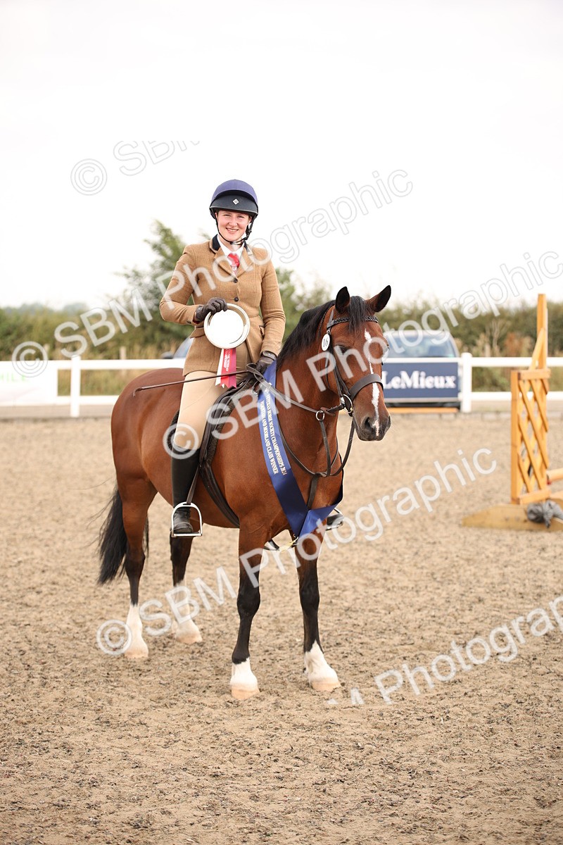 SBM_12283 - Class 405a - M&M Working Veteran 50cm (15-19)