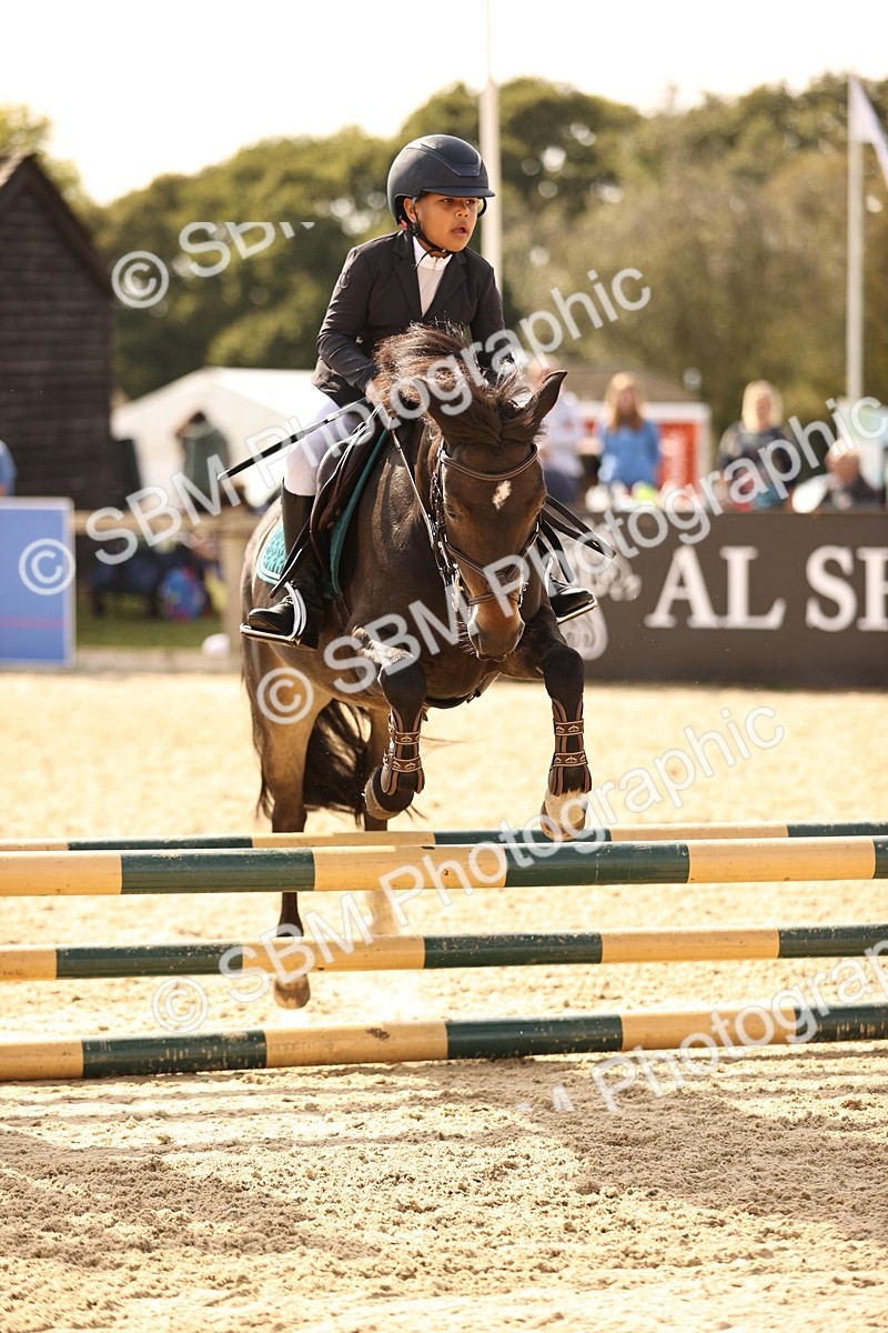 SBM_67077 - J13 - Junior Pony 60cm Championship