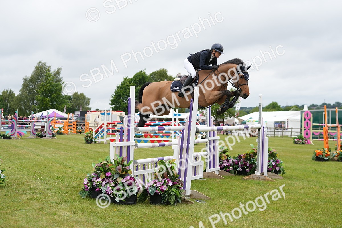 SBM_03374 - Class 201 - British Horse Feeds Speedi Beet Horse of the Year Show Grade  C