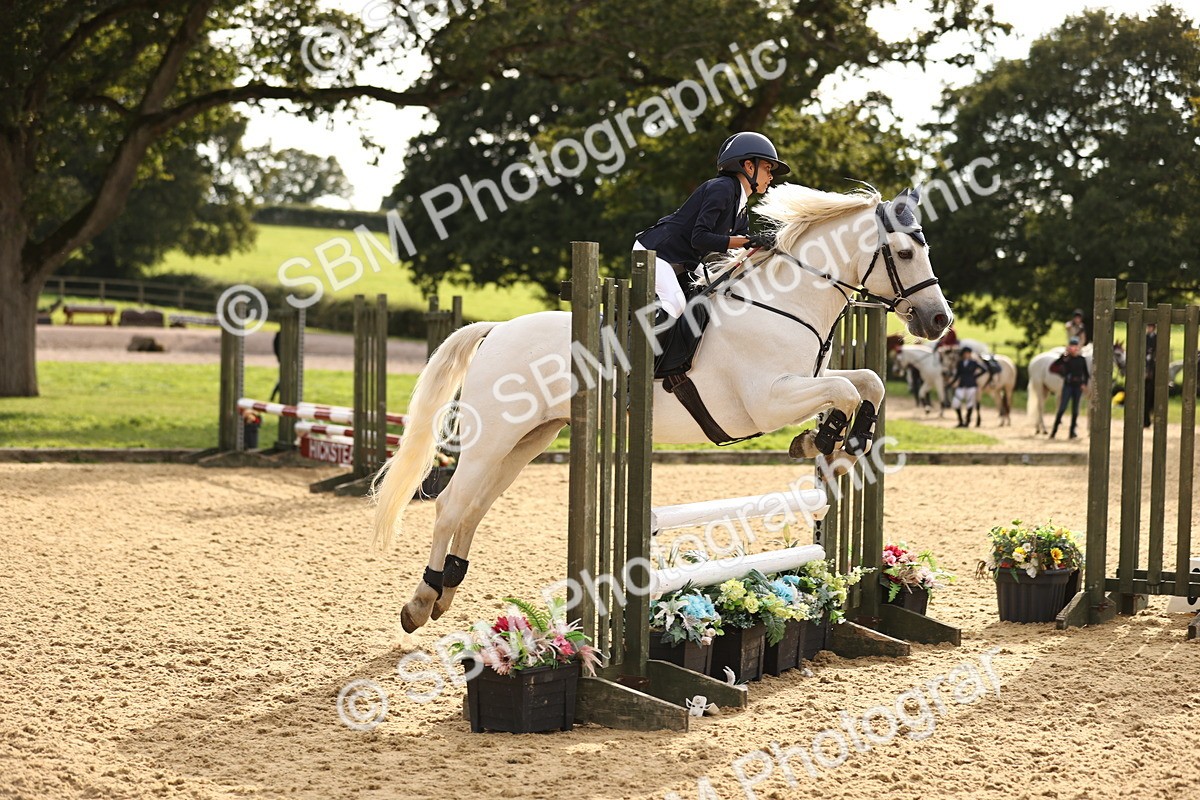 SBM_52832 - J10 - Junior Pony 75cm Championship