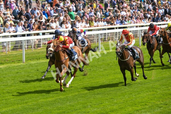 yr10062022r3-29 - Race 3 3.00pm British EBF supporting Racing with Pride Fillies' Handicap