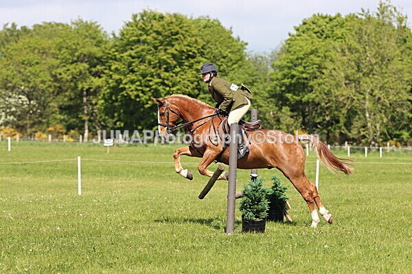 IMG_4569 - Working Hunter