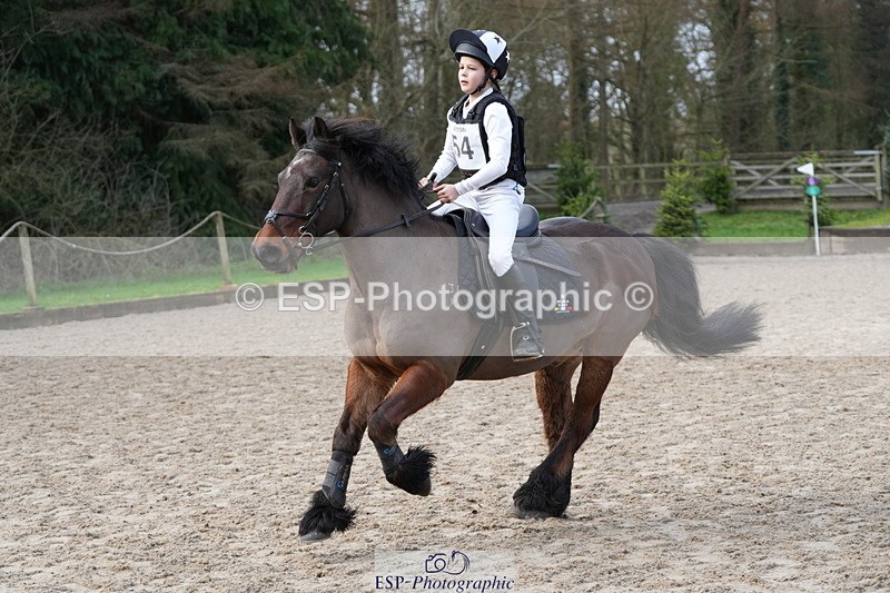 260301A-103139-01745 - NSEA 80-85cm