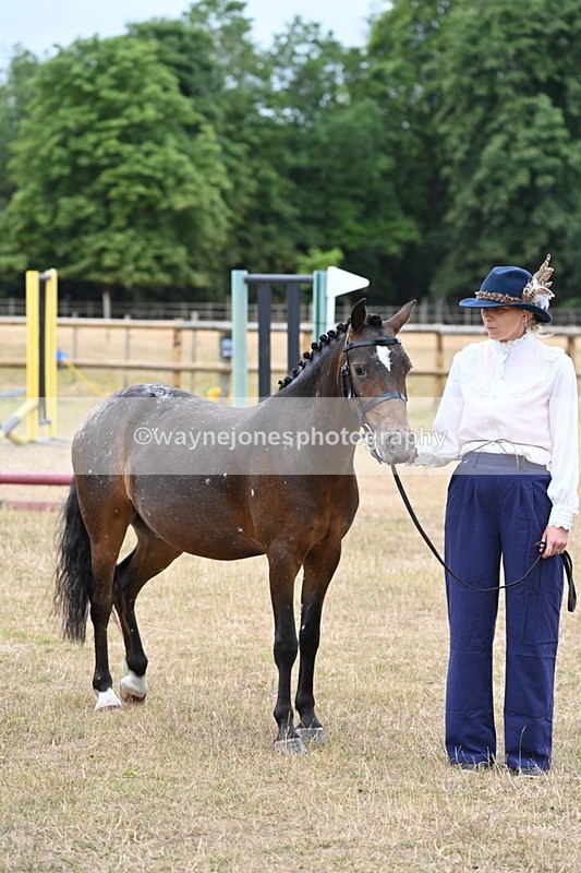 WJ6_8204 - Class 10 Coloured in Hand