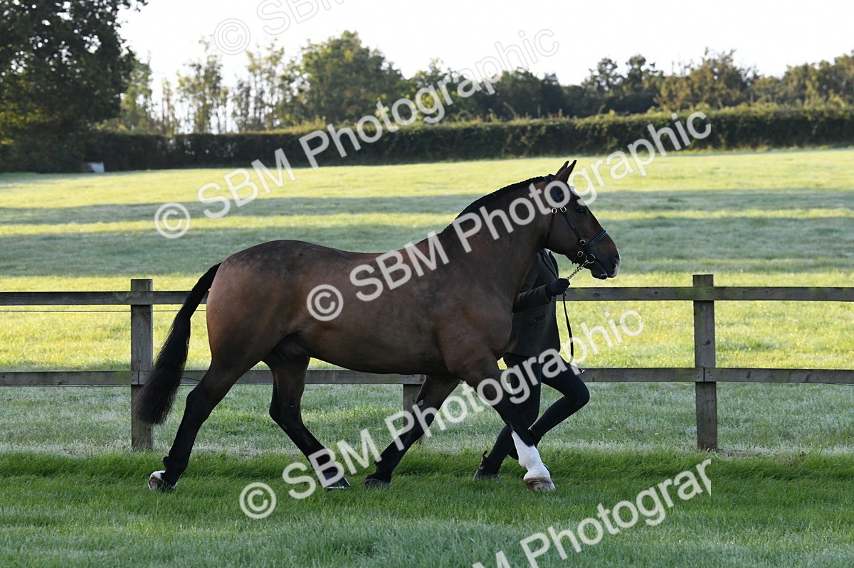 SBM_32543 - S15 - Condition & Turnout In Hand