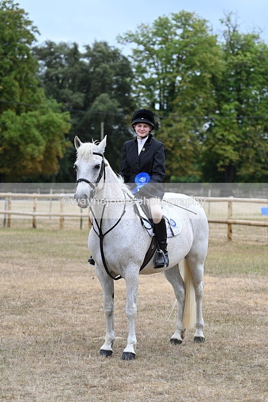 WJ7_1004 - Class 7 Riding Club Show Horse