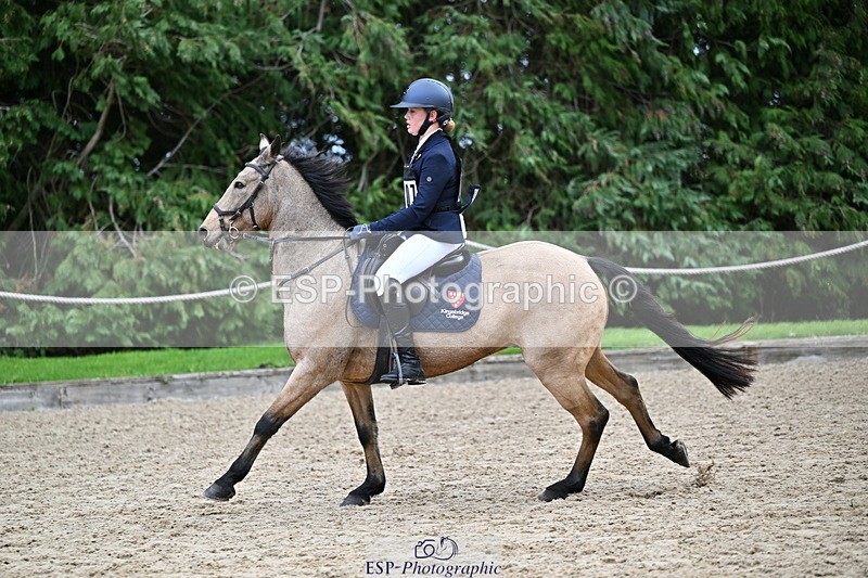 251005A-134730-04161 - Cls 09 Nov 80-85cm