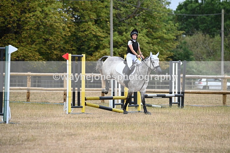 WJ6_0302 - Class 13 Novice Jumping 60cm