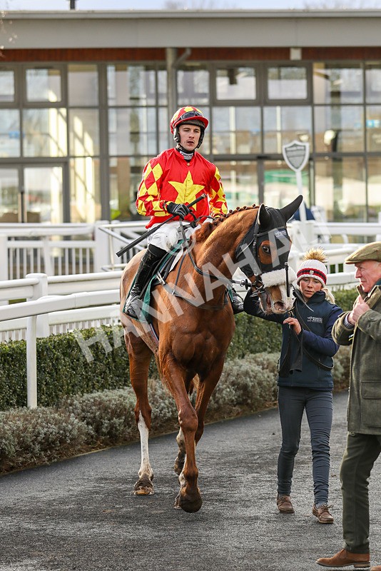 020224-Race 4-Treaty Boy-6850 - Race 4