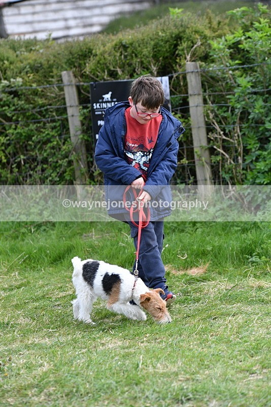 WJ5_0247 - Class 7 Best Terrier