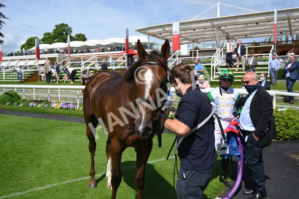 yr11062021r3-44 - Race 3 2.55pm SKF Rous Selling Stakes