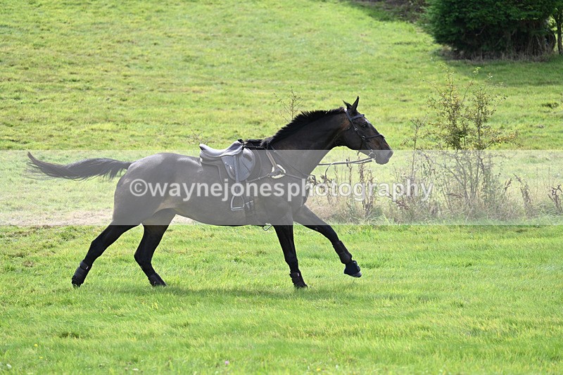 WJ7_7426 - Time 13:21 to 13:29