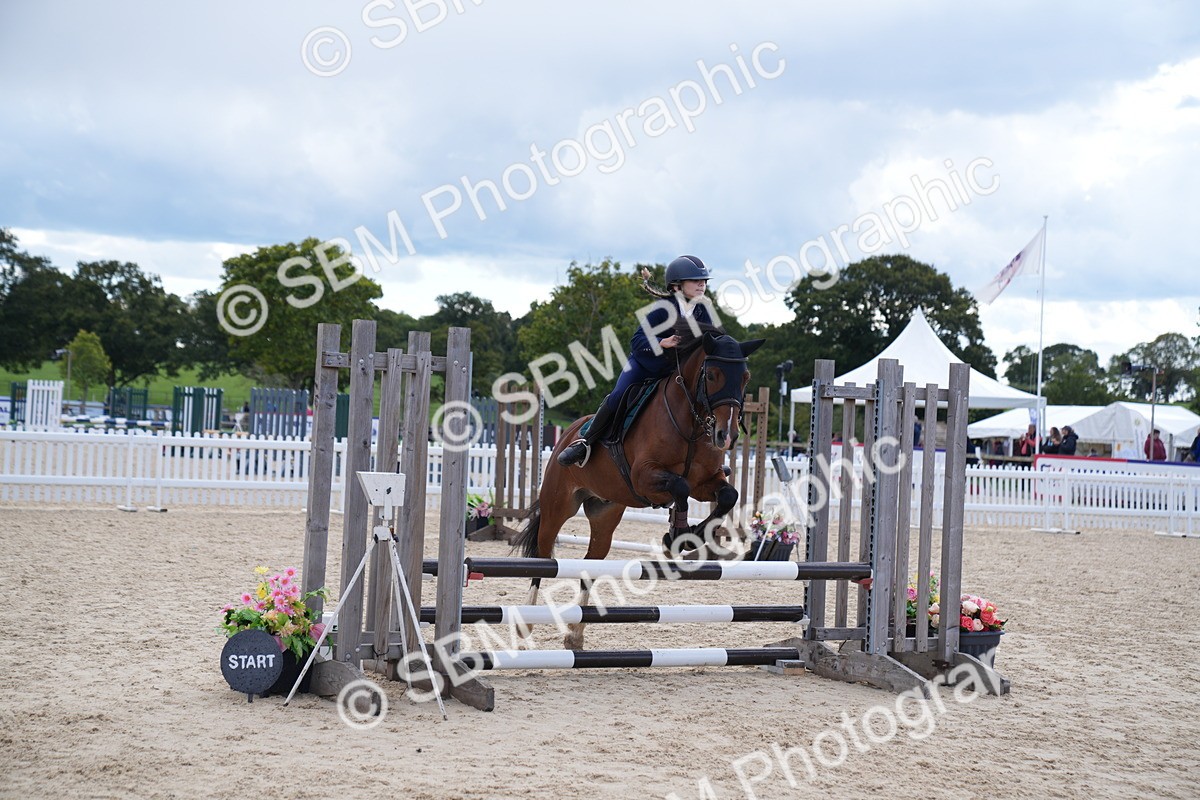 SBM_08500 - J56 Clear Round 70cm
