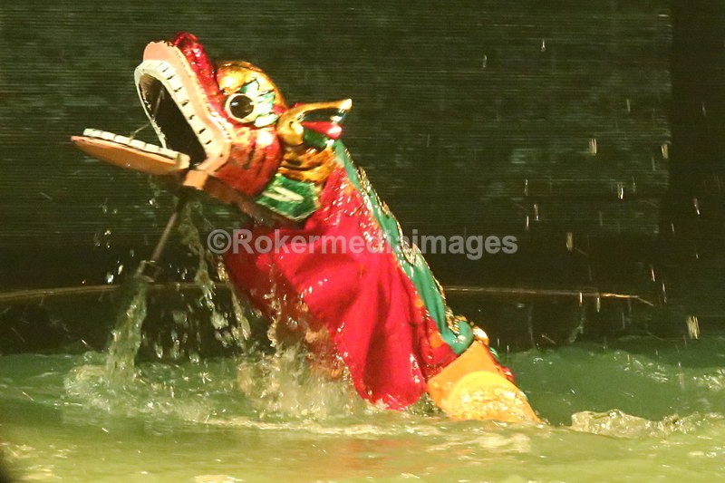 VIET_1056 - Vietnam 2017