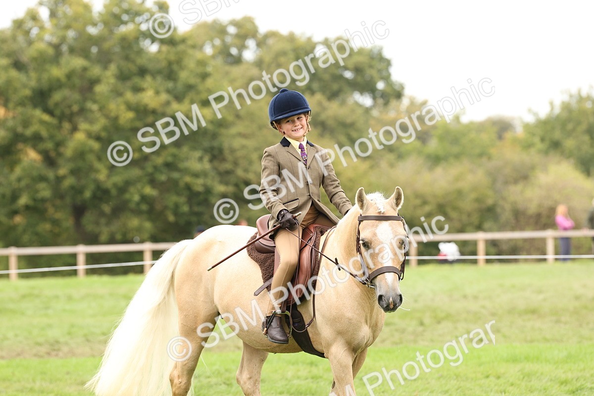 SBM_63045 - S64 - Foreign Breeds Ridden