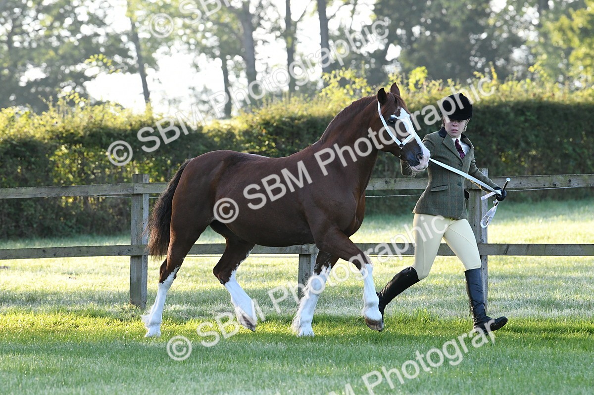 SBM_32517 - S15 - Condition & Turnout In Hand