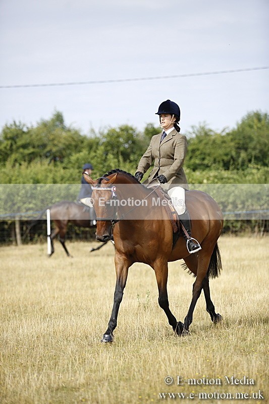 _C7A9287 - BVRC Show 2018 Ring 1