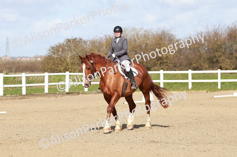 20260314-2829 - DR3 - Prelim 1