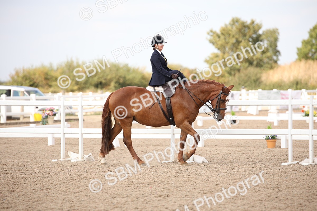 SBM_06773 - Class 24 Concours d'elegance