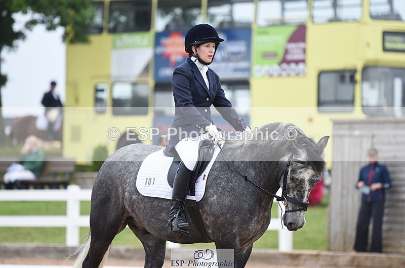 230708A-104044-01431 - Prelim 7