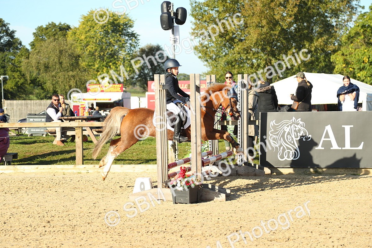 SBM_35005 - J5 - Junior Pony 50cm Championship
