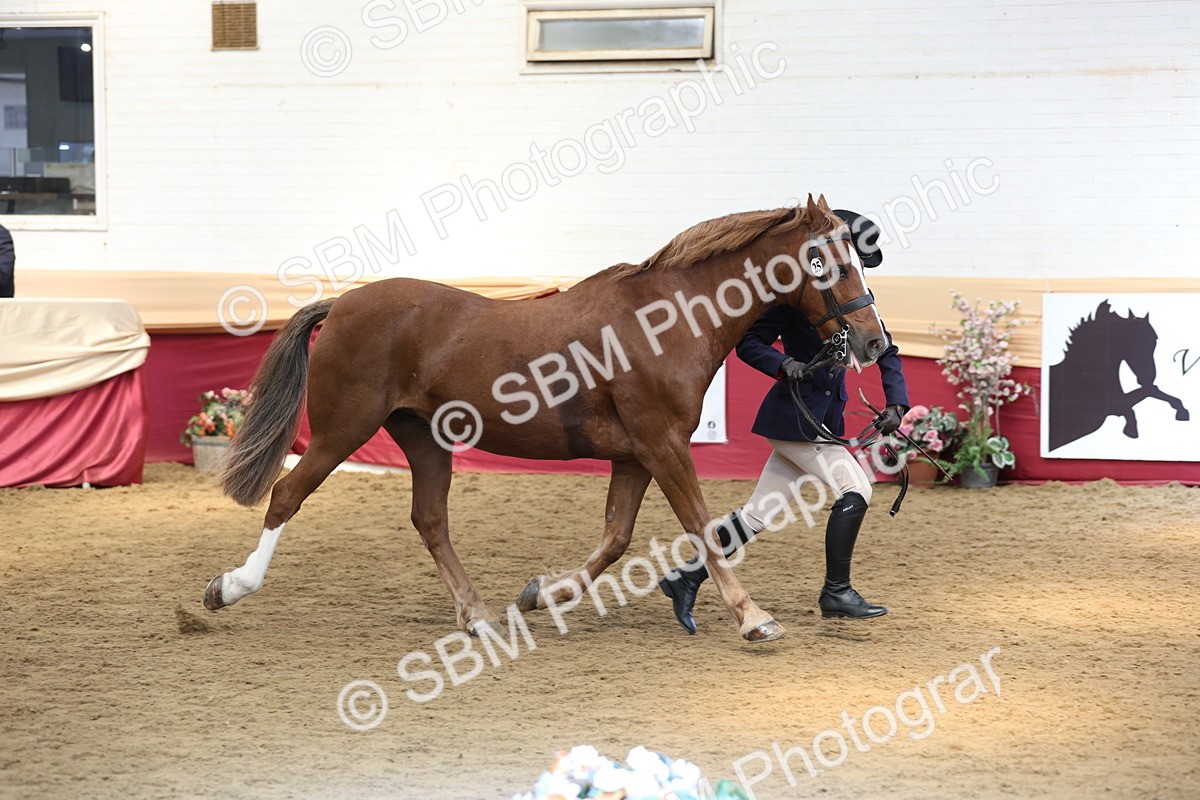 SBM_23590 - Class 904 - Supreme Final - Ridden Diamond