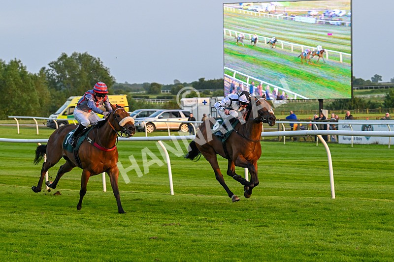 310524-Race 5-Dusk Dame-8933 - Race 5