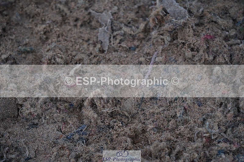 250607-132020-01182 - Cls 34 10 Years and Under