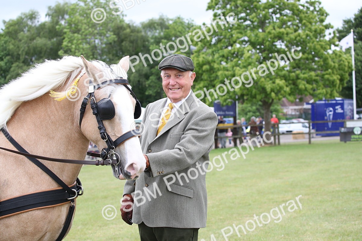 SBM_05660 - Class 12-15 - HOYS Private Driving