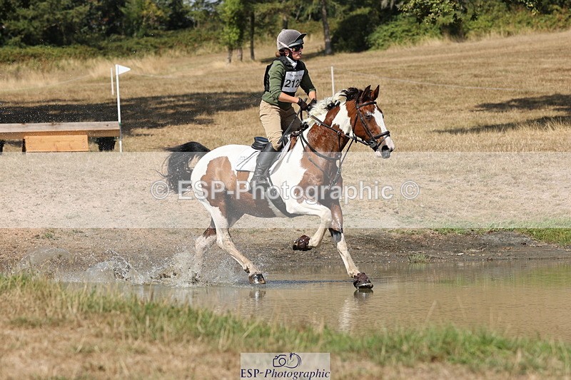 250824A-144059-38194 - 2125-Hen.Jeanes-Painted.proper