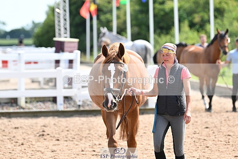 240717A-155623-03205 - Trot Up 3pm to 4pm