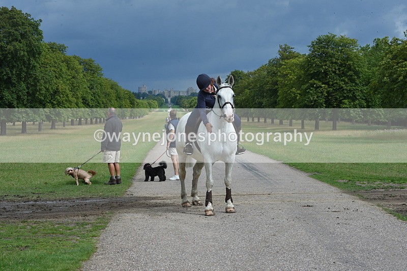 TT3_9208 - Time at Crossing 09:22 to 11:26