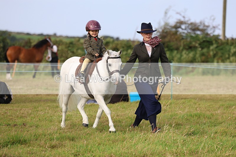 3E7A3610 - Class 2: Lead rein