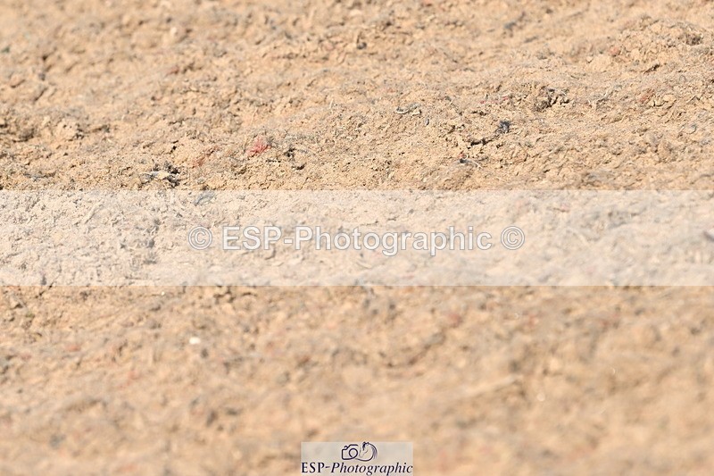 240509A-092928-00568 - Cls 8 Foxhunter