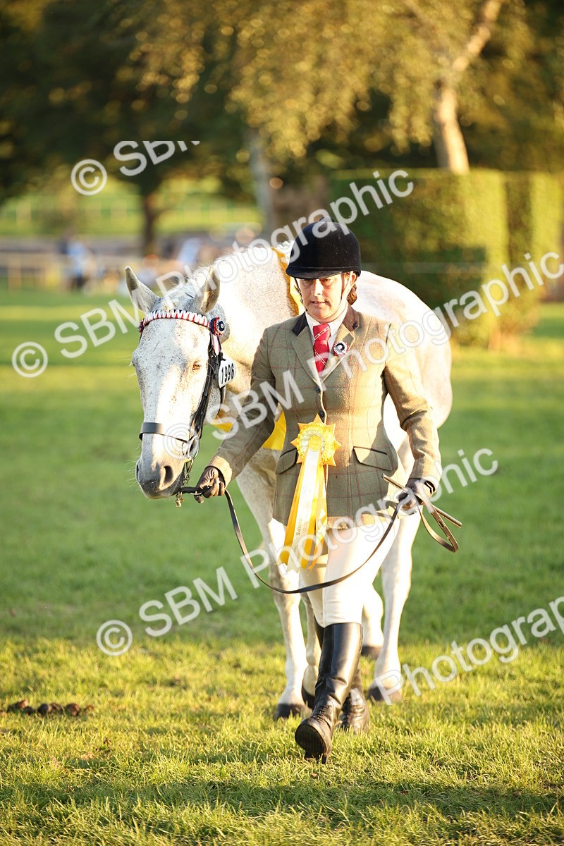 SBM_57057 - Veteran Supreme Championship