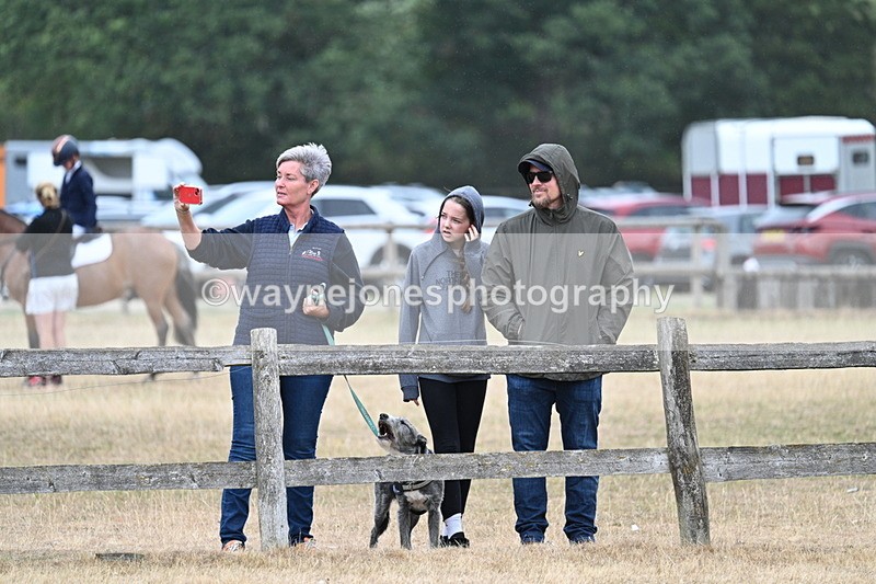 WJ7_0911 - Class 7 Riding Club Show Horse