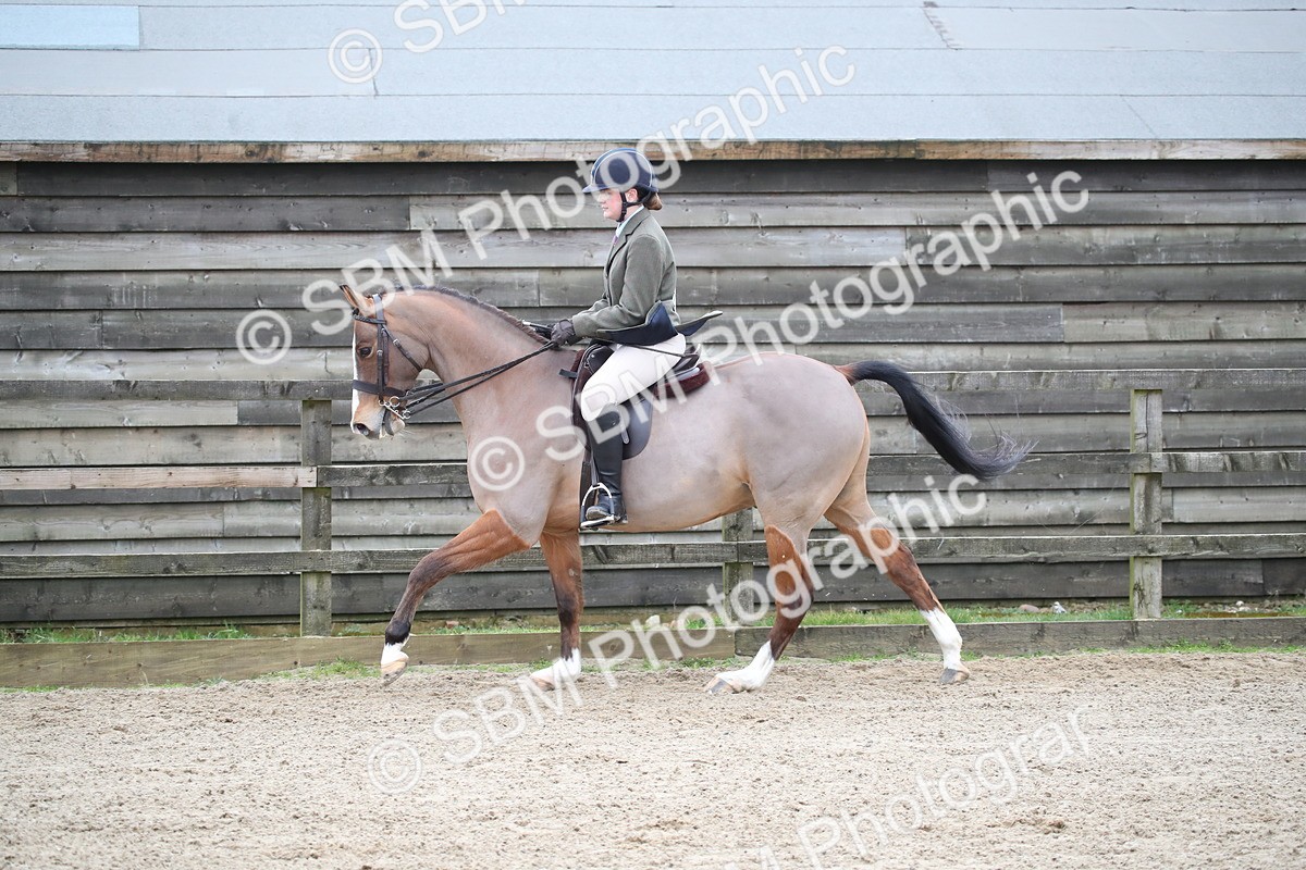 SBM_004666 - Class 5-9 - NPS In Hand-Show Hunter-Intermediate Ridden Inc Ridden Championship