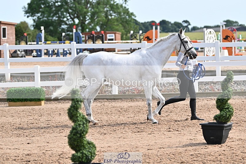 240717A-161408-03364 - Trot Up 4pm to 5pm