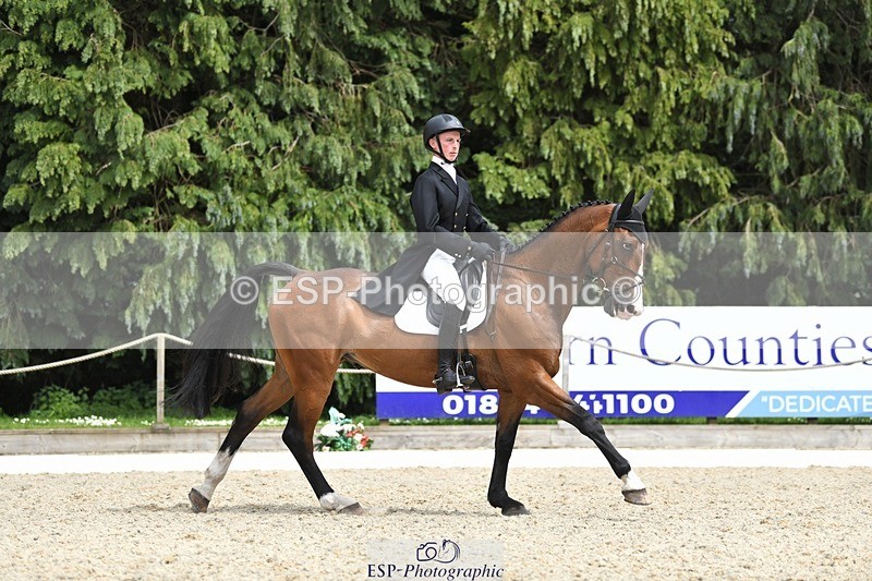 230525-151309-03214 - 325-LONESTAR-Thomas_Hawke-WEDTrotUp+DR