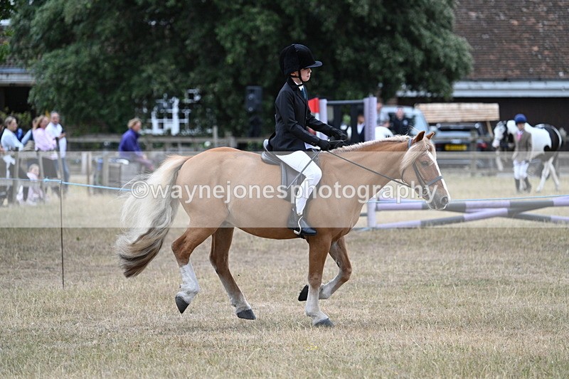 WJ7_7180 - Class 2 Best Rider