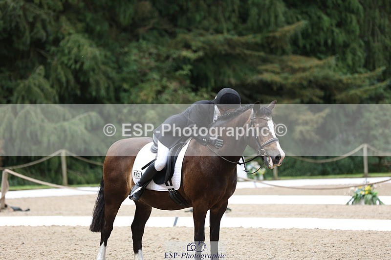 230812-102653-03223 - Cls 5 Novice Bronze Start to 10.55 break