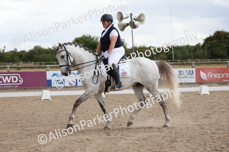 20250706-0440 - Class 17 - Elementary 5