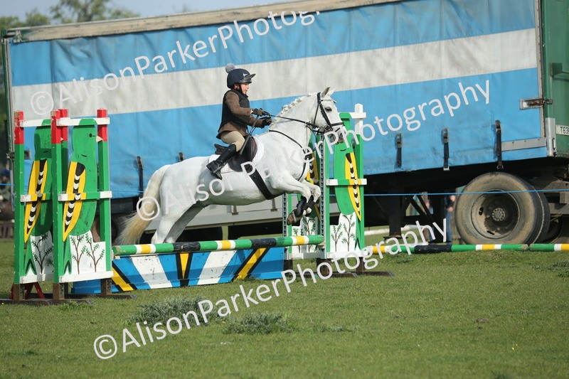 20260426-0125 - Class 13 - Rookie Jumping 50cm