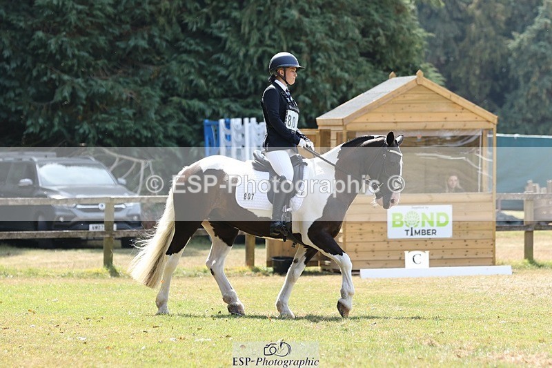 250823A-131341-31495 - Arena C