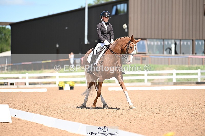 240816A-131725-05019 - 113-Ruby.Gumbley-Nova's.Golden.Dream