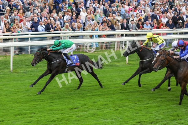 240823-Race 1-Relief Rally-5027 - Race 1 1.50pm Sky Bet Lowther Stakes