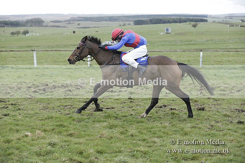 PtP 150320 0947 - New Forest Point-to-Point Larkhill 15/03/20