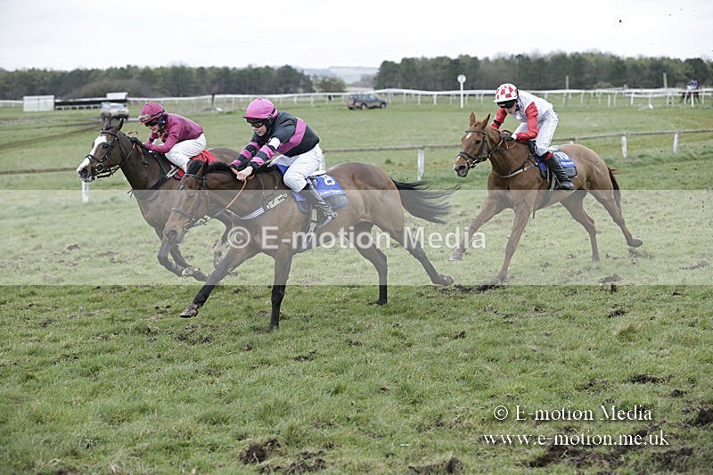 PtP 150320 0876 - New Forest Point-to-Point Larkhill 15/03/20