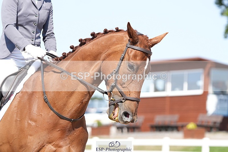 250817-152357-11190 - 203-Anna.JamesVillany