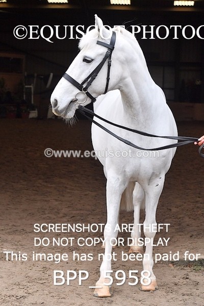 BPP_5958 - Erin Hancock ×2